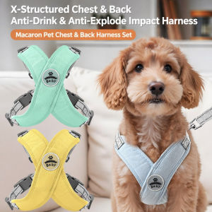 Adjustable Pet Harness Comfortable Vest Leash Durable Walking Strap for Dogs and Cats