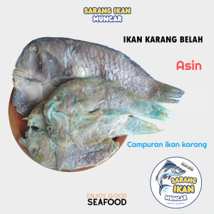 IKAN ASIN KARANG BELAH / IKAN KELING MOGO / KAKATUA ASIN 250 & 500 gram