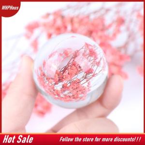 【COD】🔥🔥🔥 1Pc Clear Crystal Ball Quartz Healing Sphere Photography Props Home Decor