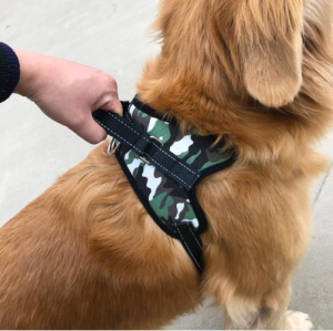 Malaysia S to XL Size Nylon HEAVY DUTY DOG PET HARNESS Collar Adjustable Padded Leash Kucing Cat