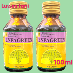 Hormon perangsang tumbuh ENFAGREEN 100ML Envagreen
