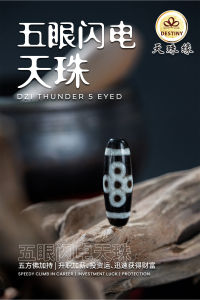 五眼闪电天珠 5 EYED THUNDER DZI 财运之珠 西藏老天珠 ANTIQUE DZI WEALTH DZI 手链/项链 Bracelet/Necklace DZI DESTINY 天珠缘