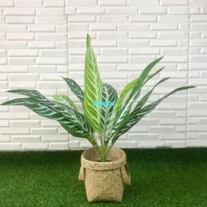 Pohon Artificial Daun Aglonema Hijau Strip X12 Semilatex Cover Pot Anyaman Purun Handle Dekorasi Apartemen