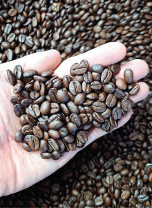 NLCOFFEE | เมล็ดกาแฟคั่ว สูตร พรีเมี่ยม เบลนด์ Premium Blend