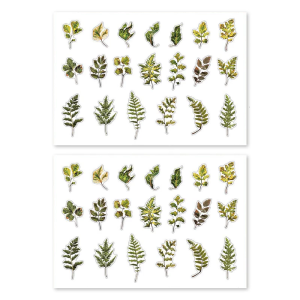 Flower Leaf Decorative Sticker Adheisve PET Sticker for Scrapbooking Card Making Journal Planner Phone Case Wrapping