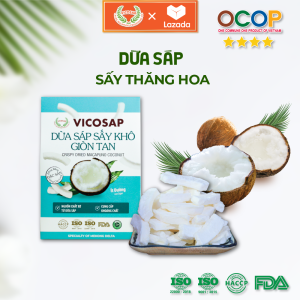 Dừa sáp sấy giòn cao cấp VICOSAP ít đường đồ ăn vặt healthy đặc sản Trà Vinh