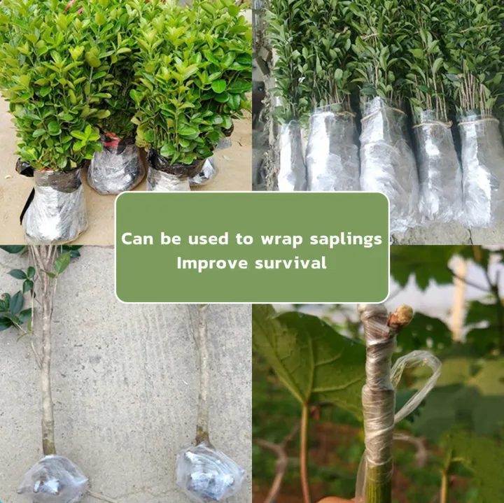 Plastic%20Packaged%20PE%20Stretch%20Film%20Cling%20Wrap%20Wide%203%20cm%204%20cm%205%20cm%20-%20Image%205