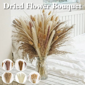 50/100/120 Dried Flowers Luxurious Pampas Grass Decor Bundle for Wedding Party Christmas Dried Flowers