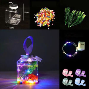 <NHIỀU MẪU> Hộp Cá Cảnh Trang Trí Phòng – Combo Trang Trí Đèn LED Đá Màu & Cây Thủy Sinh Mới Nhất 2025