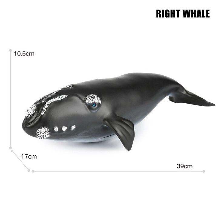 New（style)Big Marine Life Animals Humpback Dolphin Killer Blue Whale ...