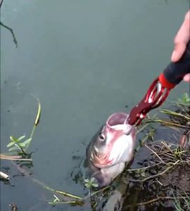 Aluminum Alloy Fishing Lip Gripper Fish Plier Hand Grip Portable Gripper with Weight Scale Fishing Accessories