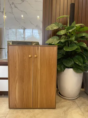 Tủ Giày Gỗ Có Cánh Đa Năng Tủ Để Đồ Dùng Cá Nhân Giúp Sắp Xếp Không Gian M1