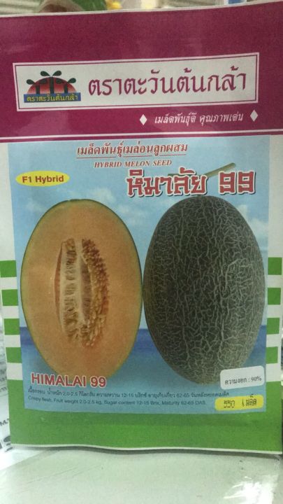 เมล็ดพันธุ์เมล่อนลูกผสม หิมาลัย99 500 เมล็ด