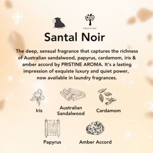 Kapsa 10-in-1 Laundry Pods Sample Pack Bundle (5Pcs) – Himalayan Tea | Lush Freesia | Santal Noir