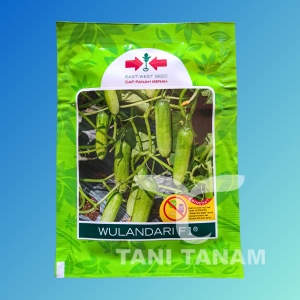 BENIH TIMUN WULANDARI F1 CAP PANAH MERAH // MENTIMUN WULANDARI