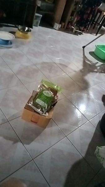 Buyer review video 2