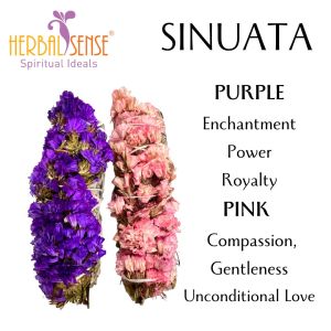 HSS Pink and Purple Sinuata White Sage Cleanses Compassion Unconditional Love Enchantment and Grace