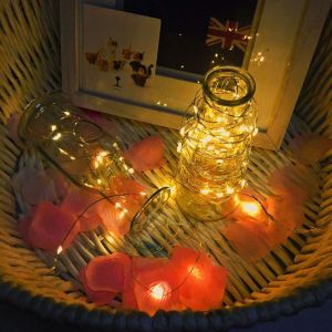 Dekorasi Rumah dengan Lampu LED Natal & USB Tahun Baru