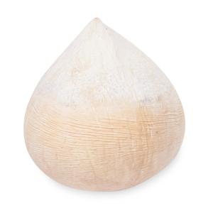 Thailand Young Coconut Core (Botak Coconut)