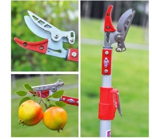 Đầu Kéo Cắt Cành CâyKéo Cắt Cành Cây Trên Cao