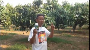 บรูโน 500 cc สารเพิ่มประสิทธิภาพ สารแพร่กระจาย ใช้น้อย แทรกซึมได้ดี แห้งไว ลดการสูญเสียของปุ๋ยยา ยาจับใบ แอ็ปซ่า