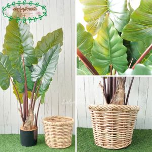 Pohon Artificial Keladi Giant Taro & Keladi Pelangi T120 Latex Cover Rotan Bulat Hiasan Sudut Ruang