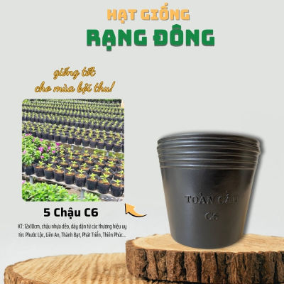 [5 cái] Chậu Trồng Cây Nhựa Dẻo C6 - KT: 12x10cm có lỗ thoát nước, dày dặn, mày đen, độ bền cao - Hạt giống Rạng Đông
