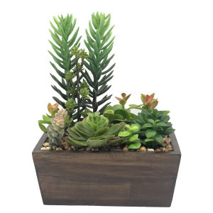 ผลิตภัณฑ์กระถางต้นไม้ปลอม ต้นไม้สวนถาด สวนกระบองเพชรปลอม