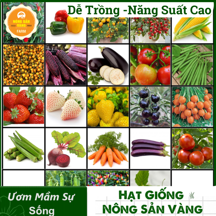 Tổng Hợp Các Hạt giống Ăn Quả, Củ, Nảy Mầm Cao, Sinh Trưởng, Phát Triển ...