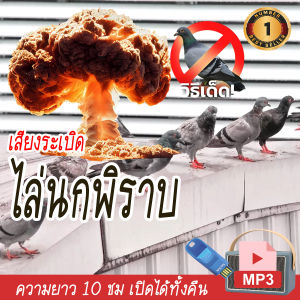 Mini Shop เสียงระเบิด เสียงดัง เสียงไล่นกพิราบ และทุกชนิด แฟลชไดร์ฟ USB สำหรับเปิด ลองแล้วชัวร์ 100%  คลิปยาว10 ชั่วโมง เสียงคมชัด