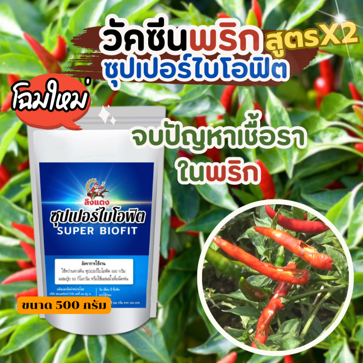 ไคโตซาน ชนิดผง ฮอร์โมนพืช สร้างภูมิต้านทานโรค