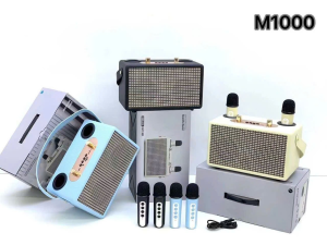 Loa Karaoke Bluetooth WIRELESS PARTY BOX M1000 Kèm 2 Micro