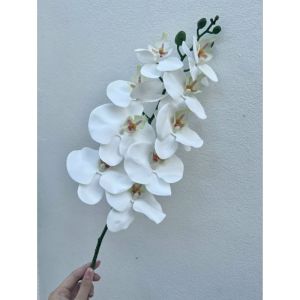 Lan cao su (9 BÔNG THÂN ĐỐM) .cánh ướt. hàng cao cấp lᴏại 1 dùng cắm bình trang trí nhà cửa