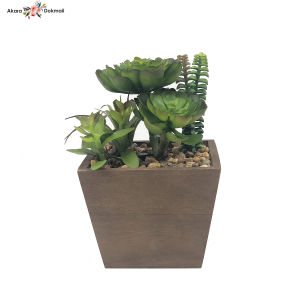 กระถางต้นไม้ปลอมมินิมอล สวนกระบองเพชรปลอม สวนแคคตัสปลอม