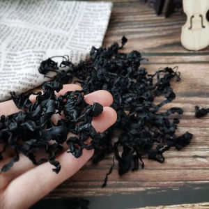 Wakame Bag Dried Wakame 100g Seaweed Dried Wakame Halal 干裙带菜 海苔