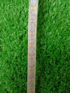 Đèn led dây 2835 kín nước điện 12v dùng trang trí ngoài trời