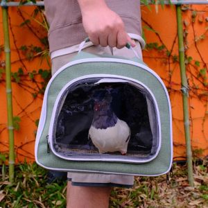 GBDSVD ระบายอากาศได้ระบายอากาศ กระเป๋าเป้สะพายหลังสัตว์เลี้ยงขนาดเล็ก กระเป๋าแมสเซนเจอร์ น้ำหนักเบามาก กระเป๋าใส่สัตว์เลี้ยง นกสำหรับนก โปร่งใสโปร่งใส กระเป๋าถือสำหรับสัตว์เลี้ยง กิจกรรมกลางแจ้งกลางแจ้ง