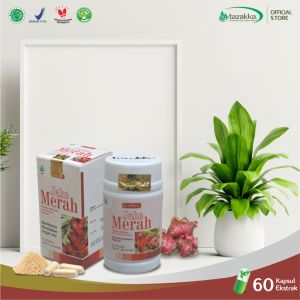 Kapsul Jahe Merah Antibiotik Obat Radang Pereda Nyeri Haid