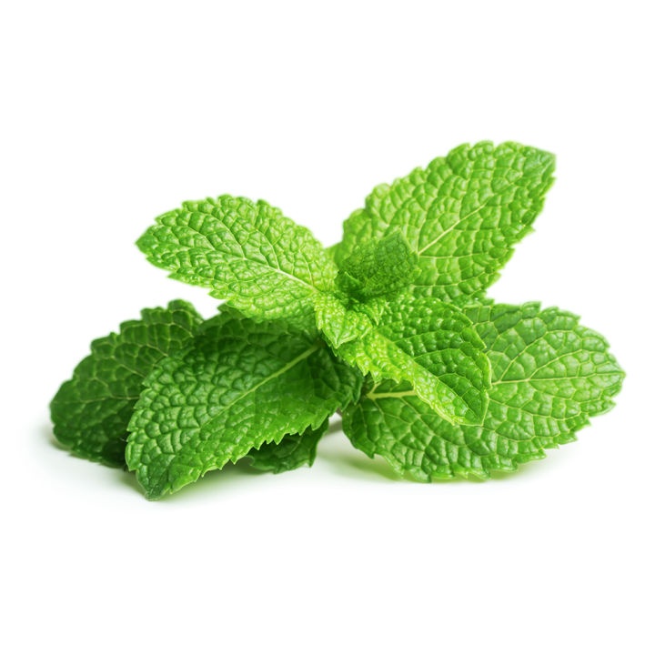 Young%20Living%20YL%20Peppermint%20100%25%20Pure%20Essential%20Oil%205ml%20/%2015ml%20-%20Image%203