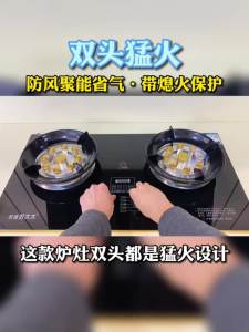Womai Hotata Gas Stove Double Burner Household Embedded Natural Gas Stove Desktop Liquefied roleum Gas Stove Nine Cavity Raging Fire Stove