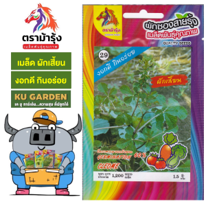 RAINBOW HORSE  🇹🇭 ผักซอง ม้ารุ้ง Z029 ผักเสี้ยน  เมล็ดพันธุ์ เมล็ดพันธุ์ผัก เมล็ดผัก ผักสวนครัว ตราม้ารุ้ง