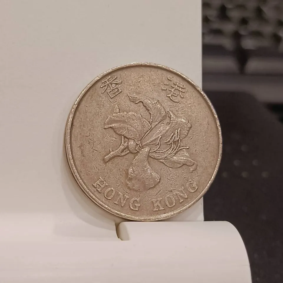 Hong Kong 香港 (China) / 5 Dollar 5 HKD 伍圓 Bank Coins Year 1993 Traditional  Design Bank Coin Olive Satin Material Coin Animal Print Bank Coin - Lazada  | Lazada