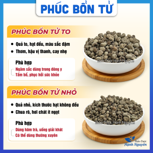 Phúc bồn tử 100g quả môm xôi khô sạch giúp sáng mắt tốt cho tiêu hóa khỏe răng miệng