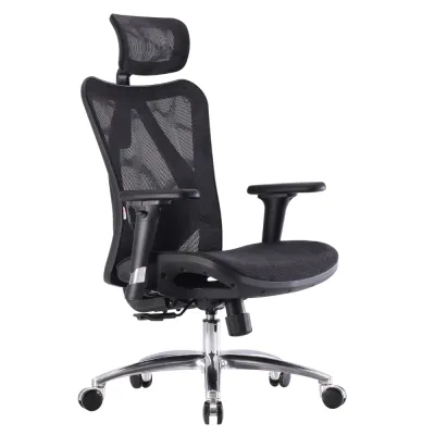 SIHOO M57 Ergonomic Office Chair Mesh Chair Adjustable Lumbar Support Home Office 4D Armrests 3 Years Warranty