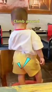 Happily Babies Safety Belt for Baby Adjustable Baby Chair Strap Feeder Fixed Strap