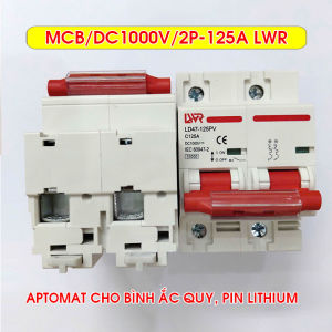 Át 1 chiều MCB DC 1000V 2P 125A LWR - Aptomat DC 1000V dùng cho pin lưu trữ bình acquy năng lượng mặt trời solar CB DC