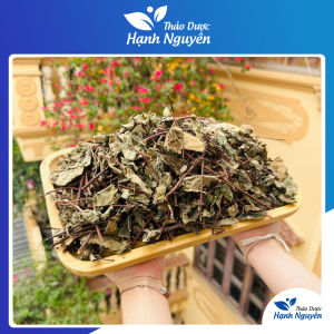 Lá hà thủ ô đỏ khô 1kg diệp hà thủ ô cải thiện tóc bạc sớm bổ máu ổn định huyết áp