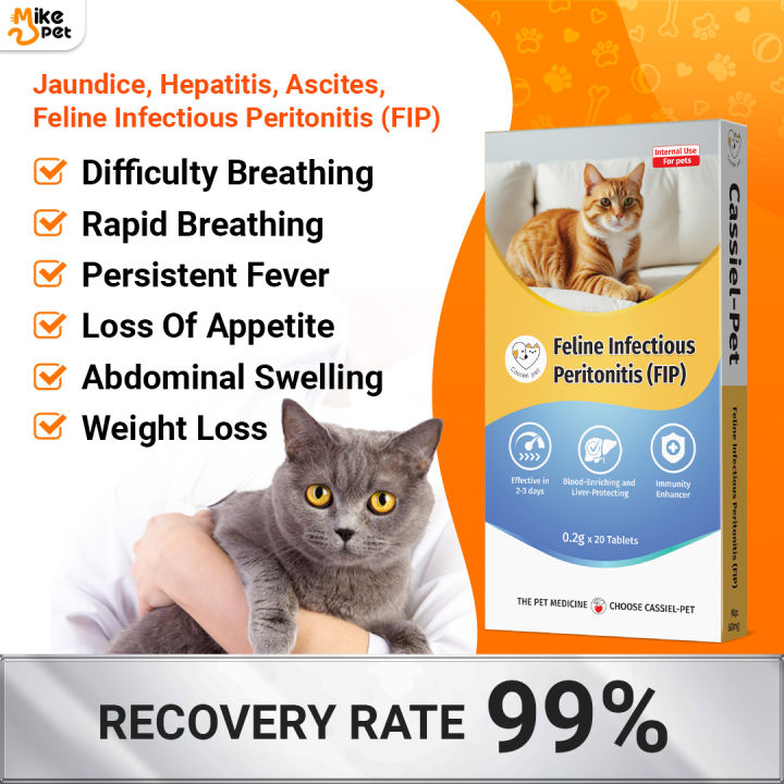 Decreased Appetite Cat No Appetite Sale Cats Appetite Decreased