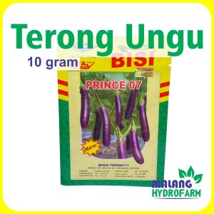 Benih Terong Unggu Prince 07 10 gram Cap Kapal Terbang dataran rendah menengah unggul bibit biji sayur lodeh hidroponik hydroponik