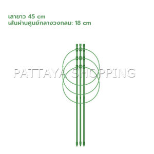 Pattaya โครงเถาวัลย์ เสามะเขือเทศ โครงปลูก อุปกรณ์สำหรับพืชไม้เลื้อย 45cm 60cm plant trellis